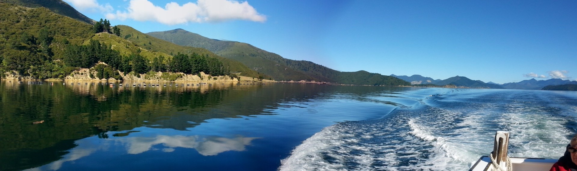 Panoramic view of the Pelorus Sound/Te Hoiere from behind boat with wake, during a Mail Run Cruise.