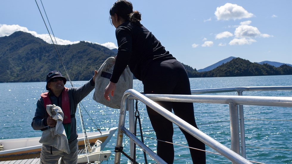 Mail boat staff member hands a large mail bag to a man on the jetty - Pelorus Mail Boat